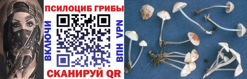 Псилоцибиновые грибы ЛСД  Уссурийск 